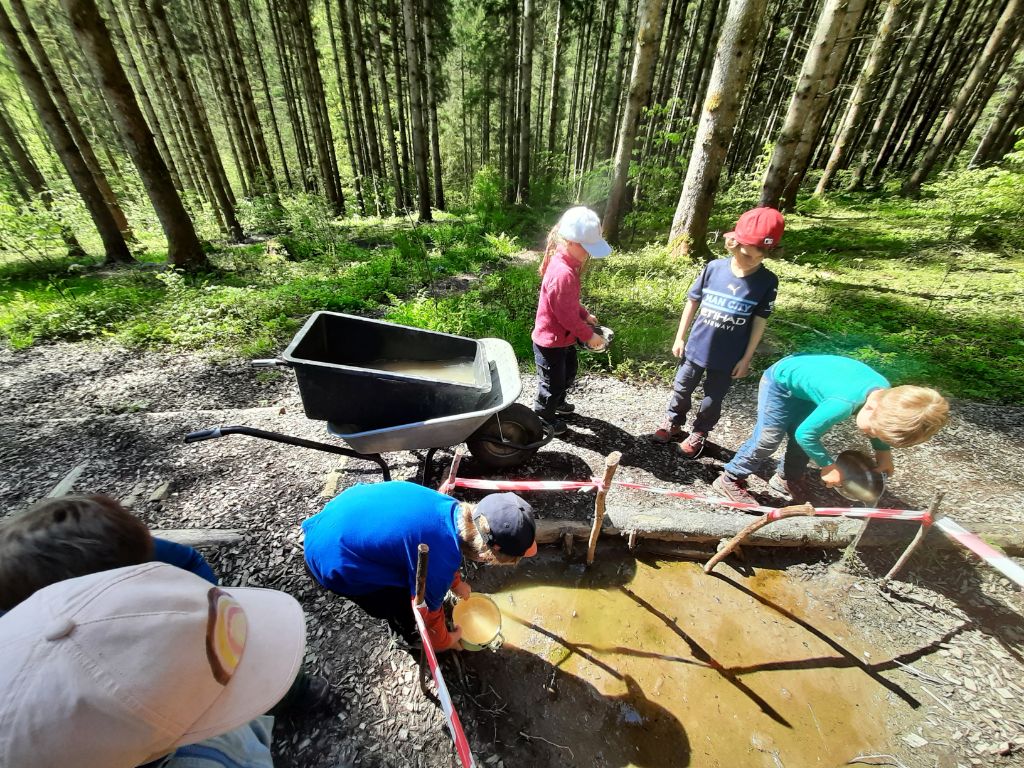 Frühling im Wald: Löwenzahn Experimente und Kaulquappen Beobachtung