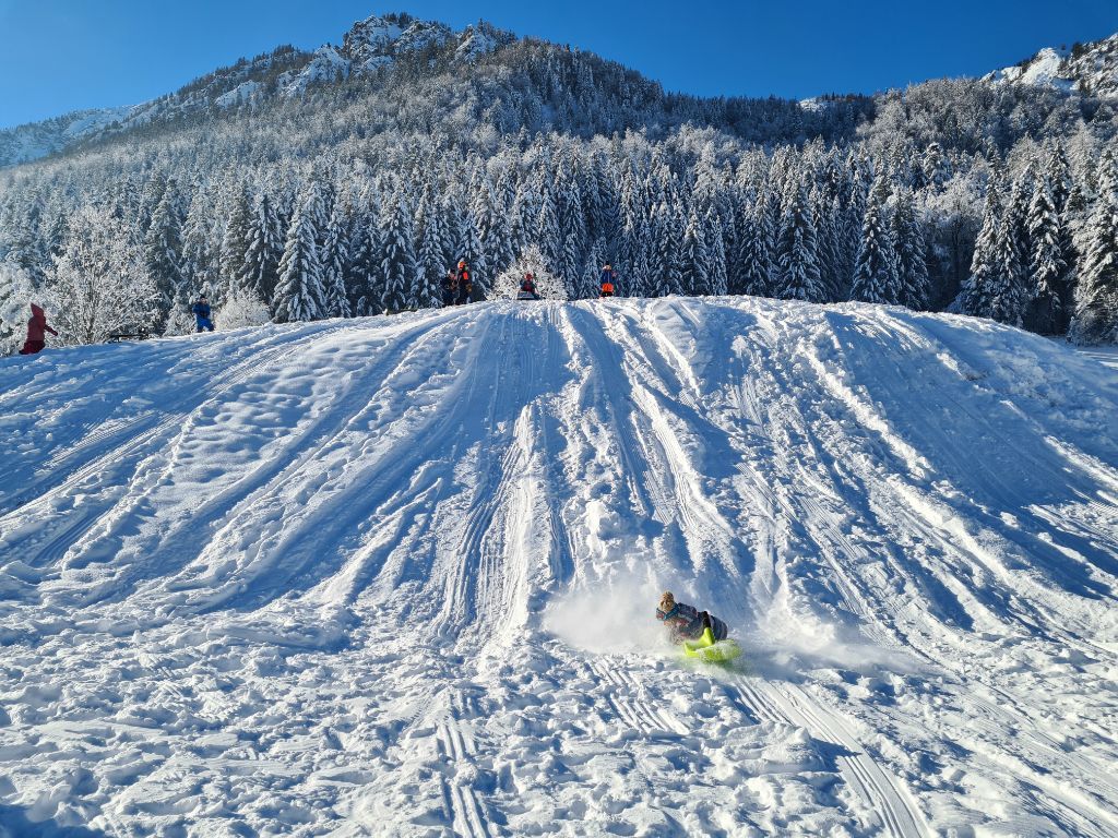 Schlittenfahren in der Wintersonne