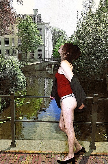 The Bridge