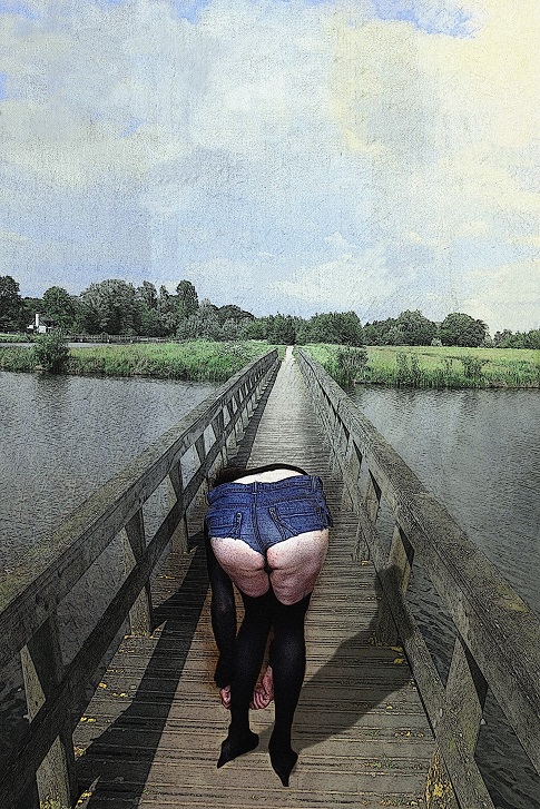The Bridge