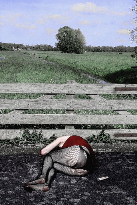 The Fence