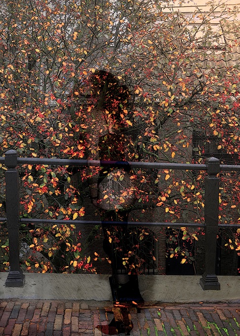 Autumn Fairy
