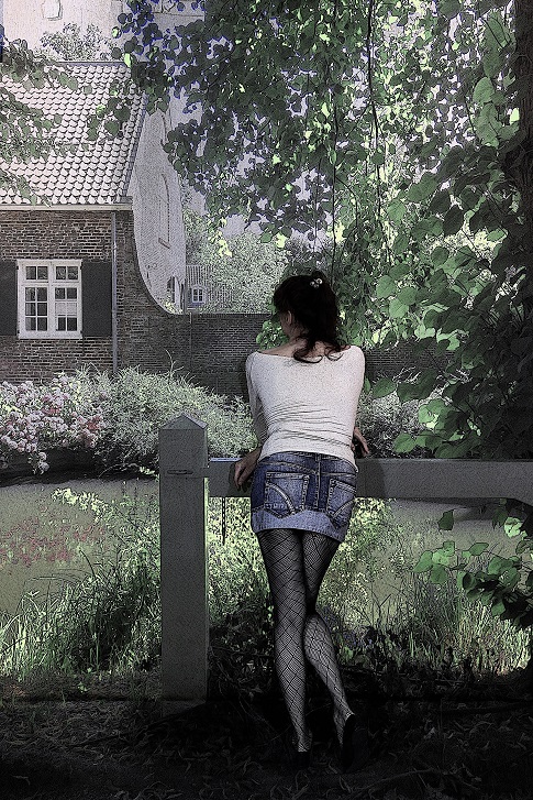 Countryside Contemplation