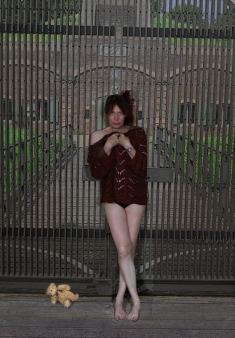 The Fence