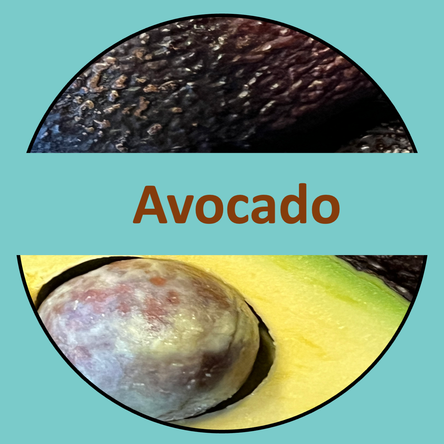 Avocado – von der Baumkrone in die Instagram-Story (und wieder zurück ins Gewissen)