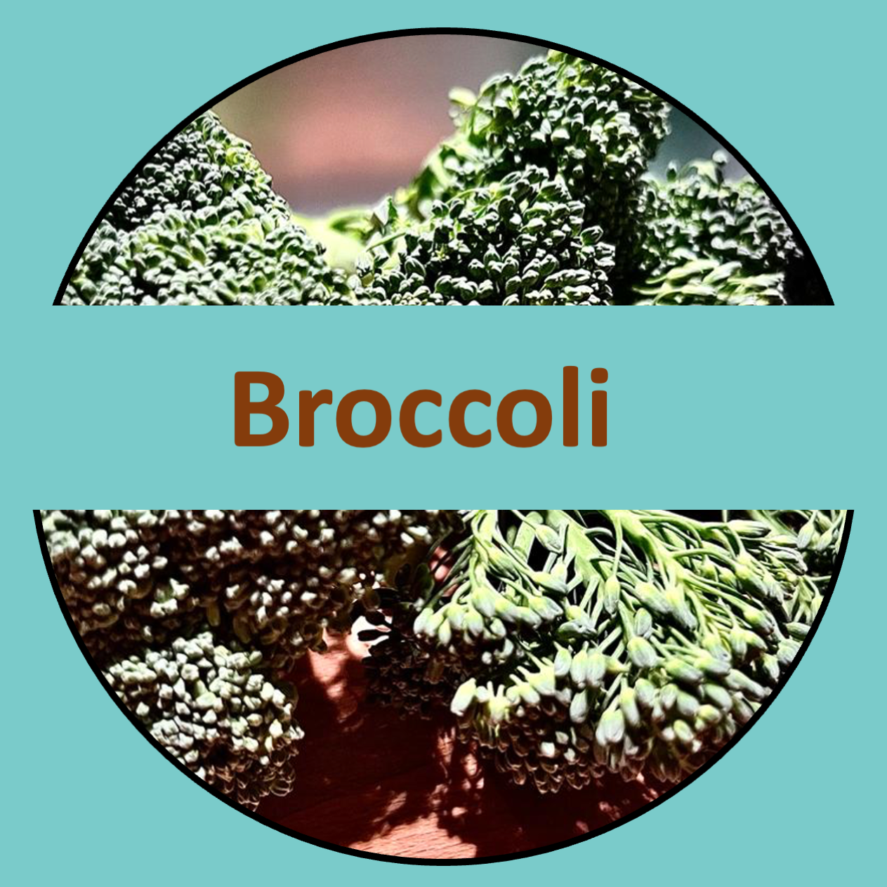 Broccoli das grüne Wunder