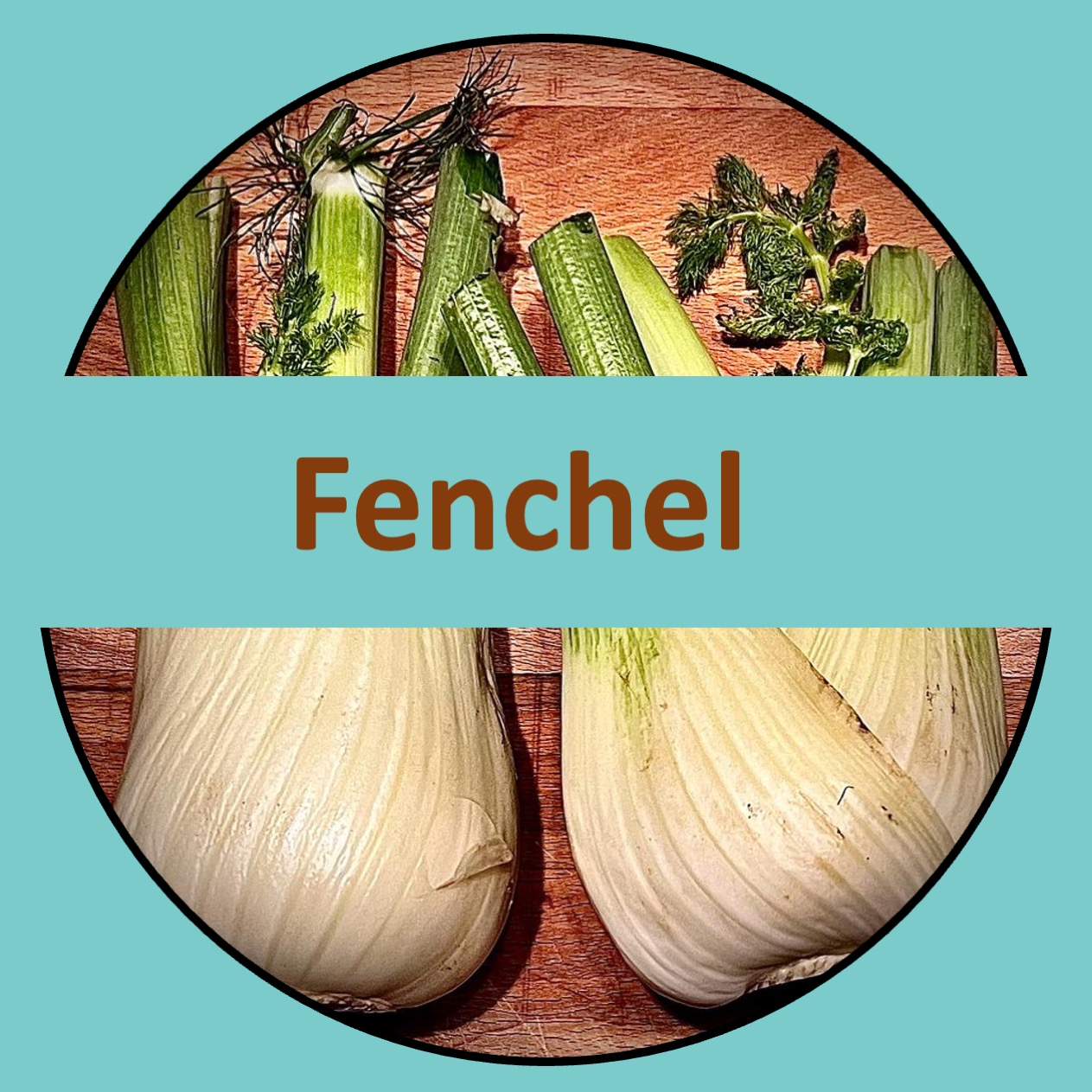 Fenchel – das verkannte Wunderknollchen