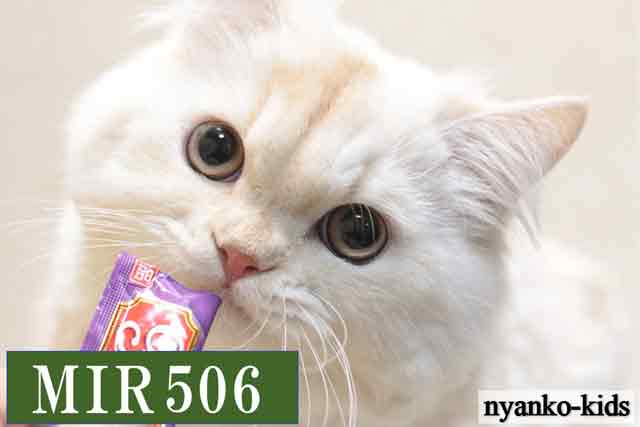 MIR506詳細ページへ｜リンク案内画像