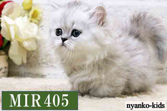 MIR405詳細ページへ｜リンク案内画像