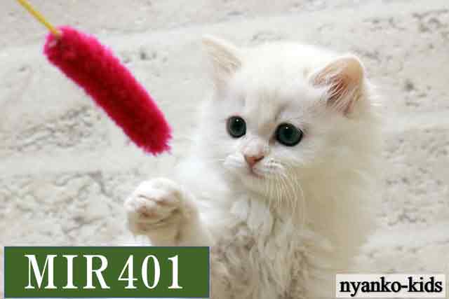 MIR401詳細ページへ｜リンク案内画像