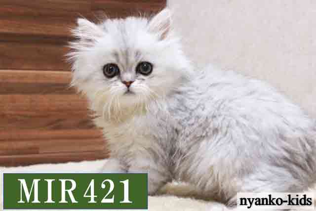 MIR421詳細ページへ｜リンク案内画像