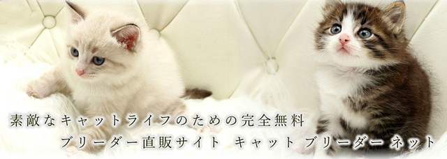 キャットブリーダー ネット JP