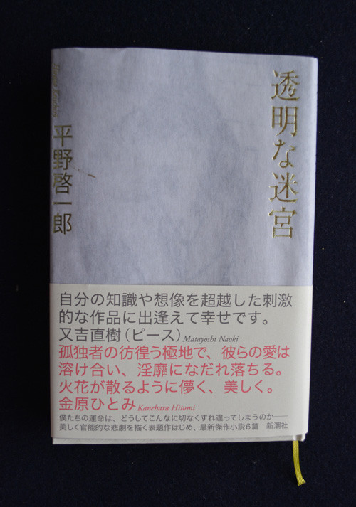 平野啓一郎の 透明な迷宮 を読む 佛画 書 刻字 篆刻 源氏物語の金泥による書写 和田大諷のホームページ