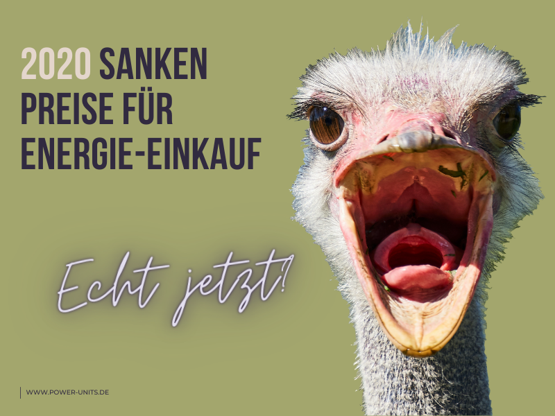 Energie Rückblick 2020 - Preise sanken