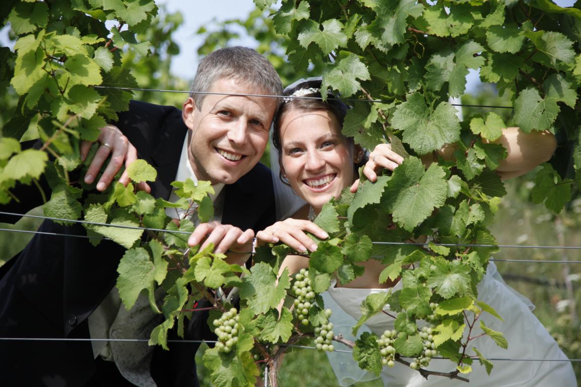 In den Weinbergen.