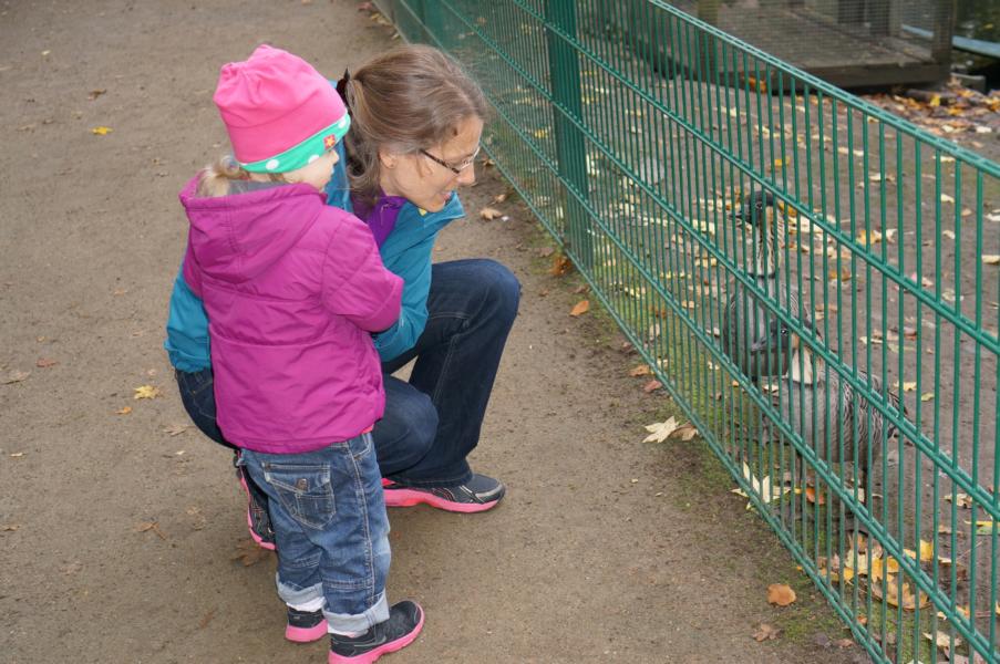 Mit Johanna im Bassumer Tierpark.