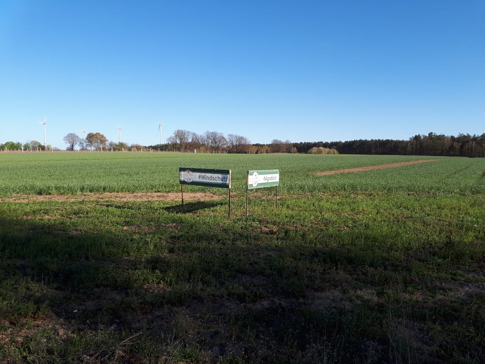 #Agroforst und #Windschutz sind nur 2 von vielen Schlagworten.