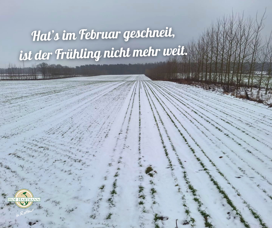 Hat's im Februar geschneit, ist der Frühling nicht mehr weit
