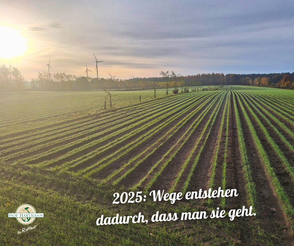 Wir wünschen frohe Weihnachten und ein gutes neues Jahr 2026!