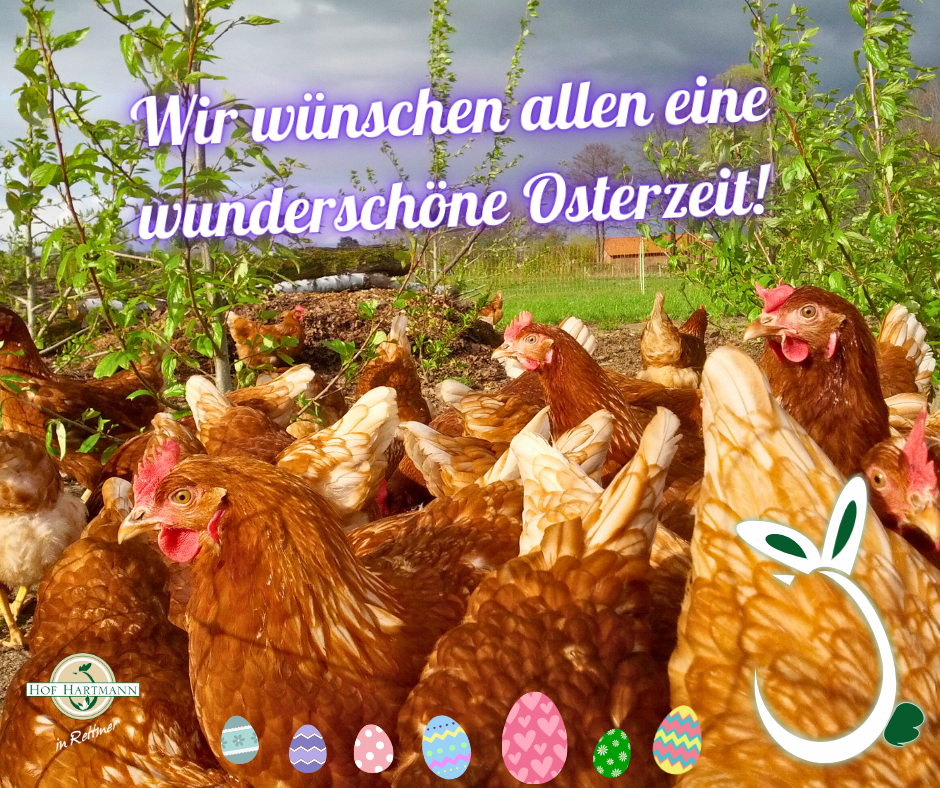 Wir wünschen eine wunderschöne Osterzeit!