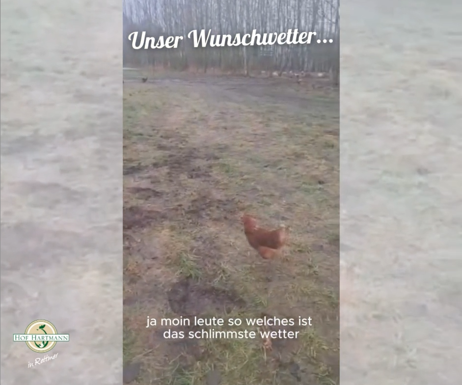 Unser Wunschwetter...