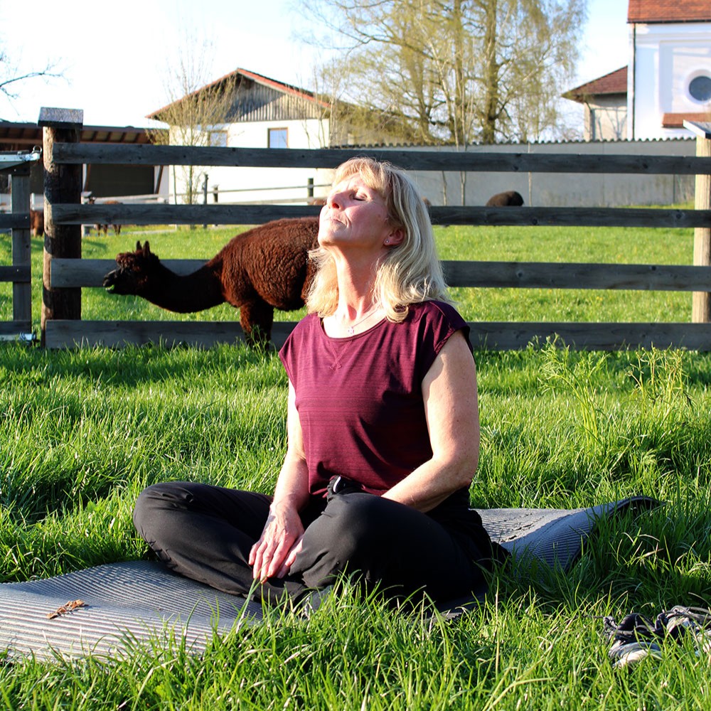 Alpaka-Flow: Die flauschige Auszeit mit Yoga & Picknick auf der Alpakaweide am Samstag, den 24.05.2025