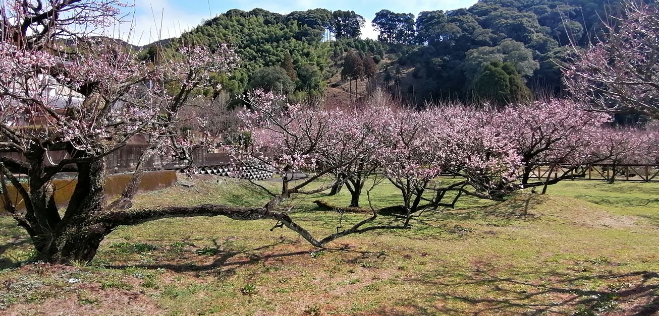 藤川天神から高城温泉へ