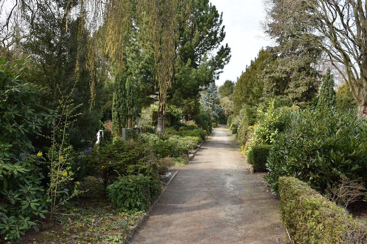 Gräber Friedhof Diebsteich