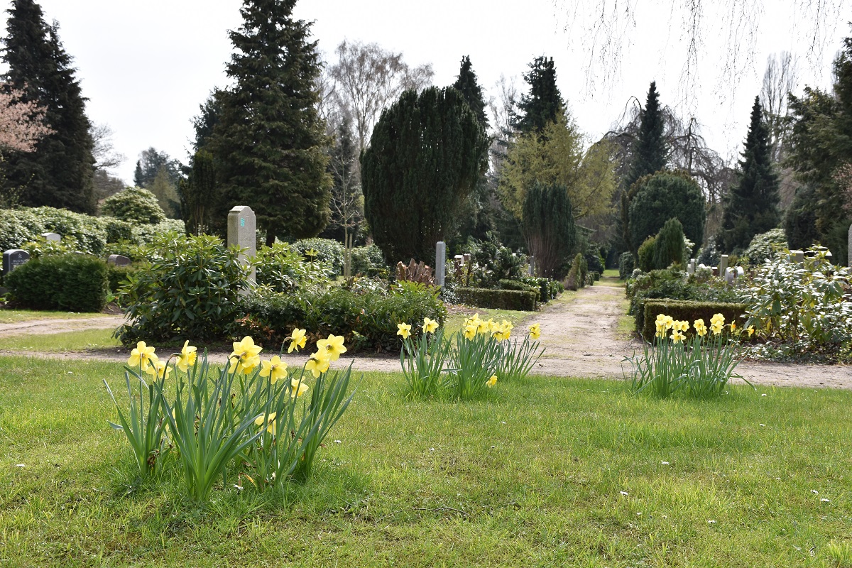 Sargreihengräber Friedhof Holstenkamp