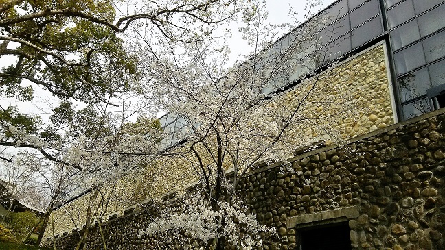 学内の写真