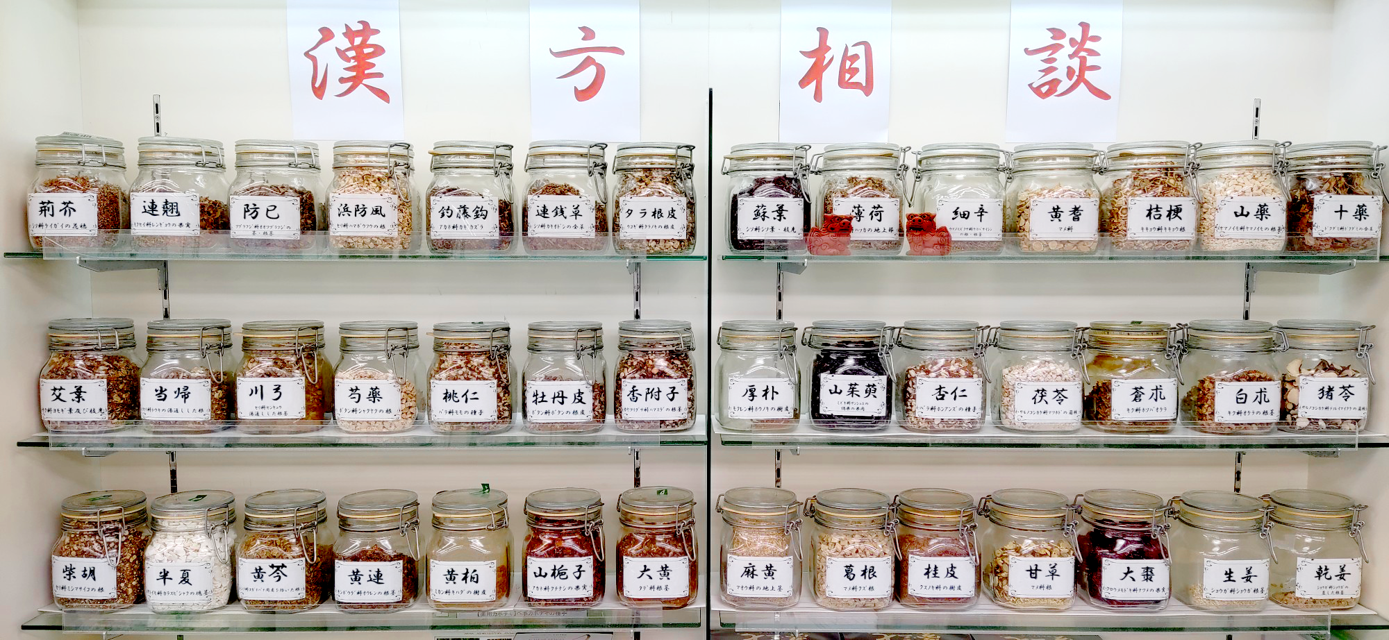 効能を実感を感じていただけるような、漢方薬や栄養素をご提案いたします