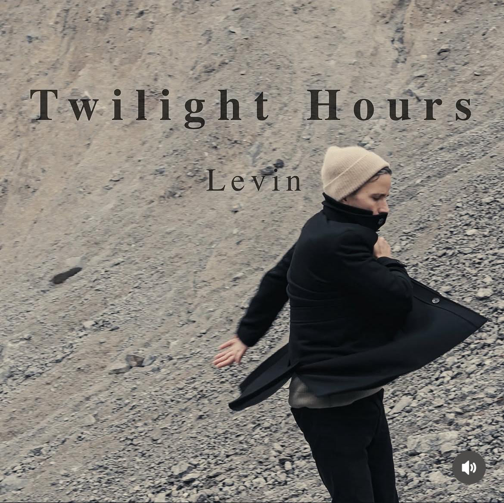Levin - Twilight Hours