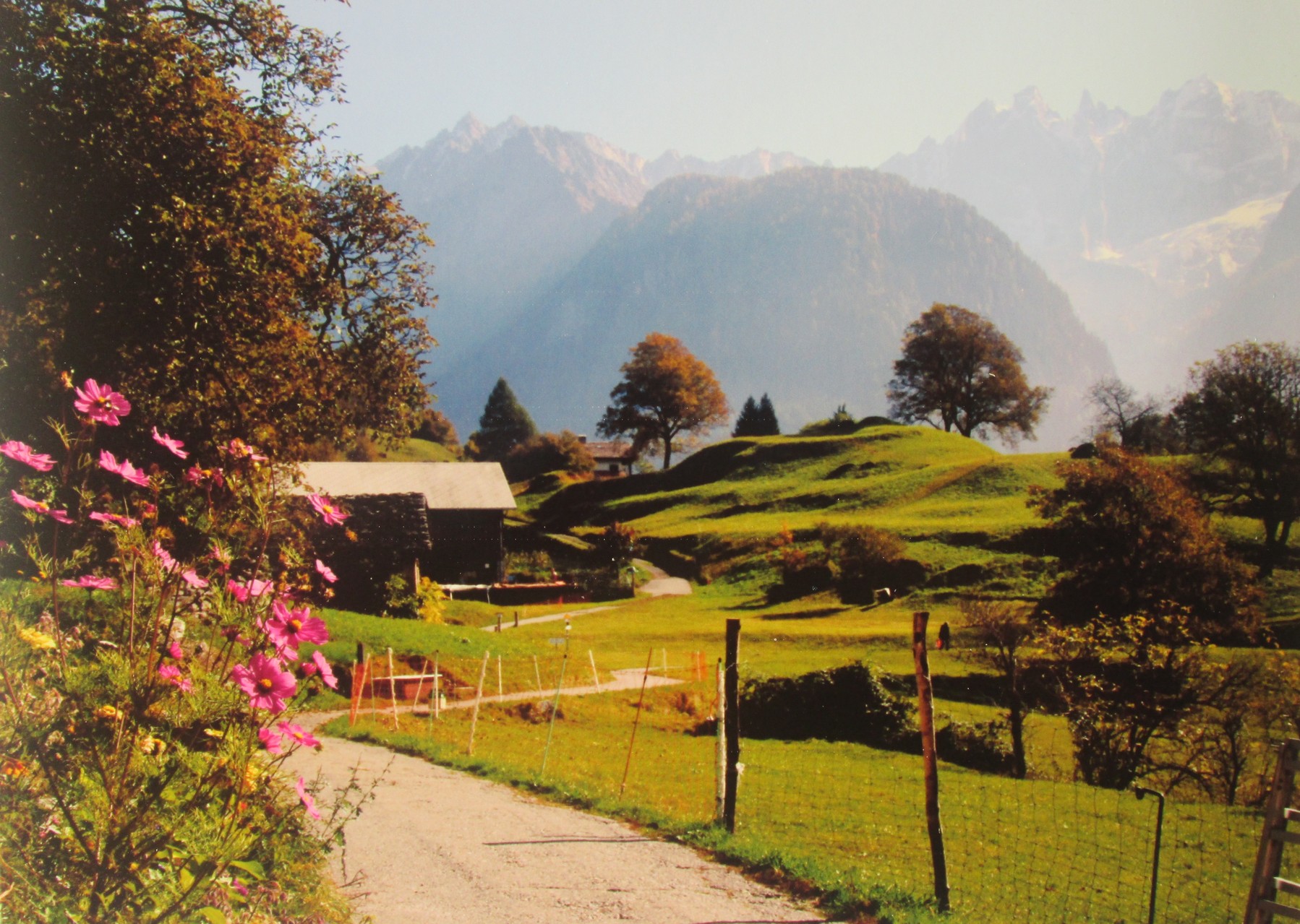 Hier sieht man die bekannte Segantini-Wiese, wo Segantini ein Bild gemalt hatte.