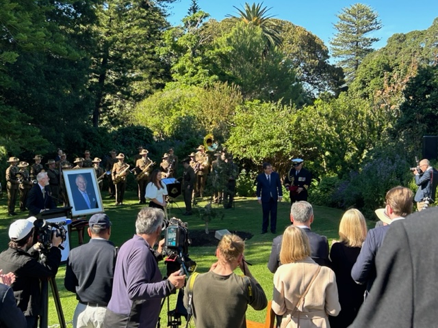 Planting of the tree