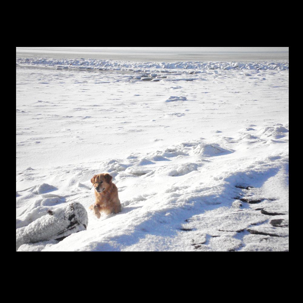 Langeneß im Schnee