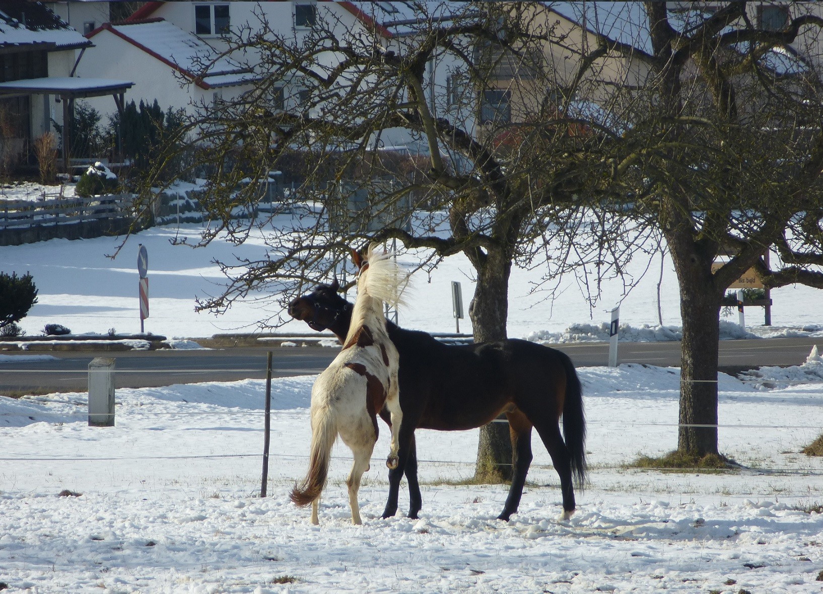 © Helfensteinhof Weiler o.H.
