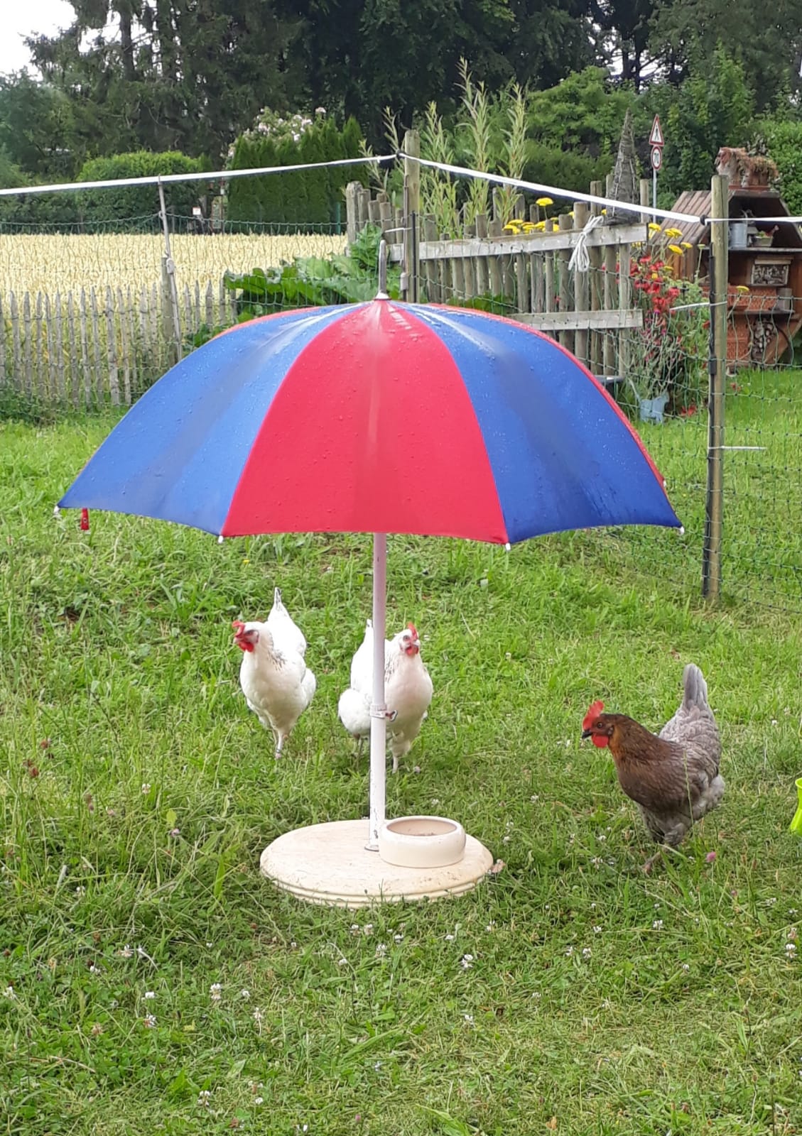 © Helfensteinhof Weiler o.H.