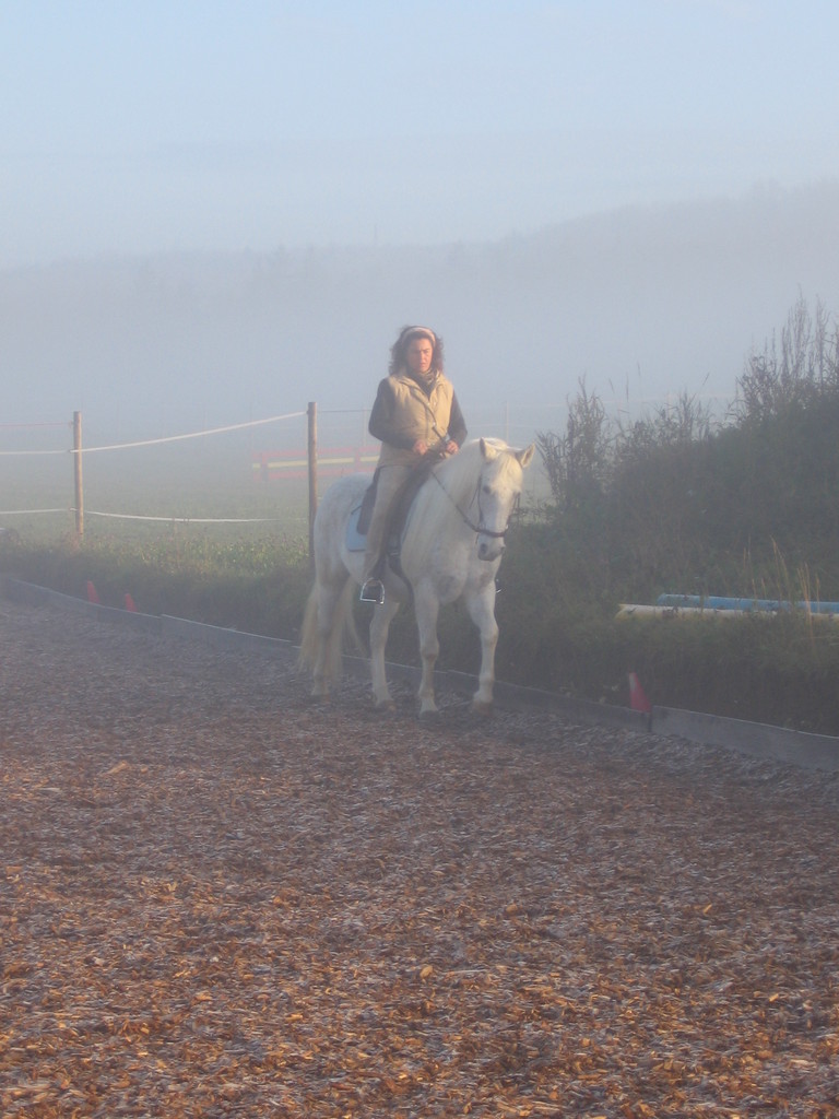 Im Nebel © Helfensteinhof Weiler o.H.