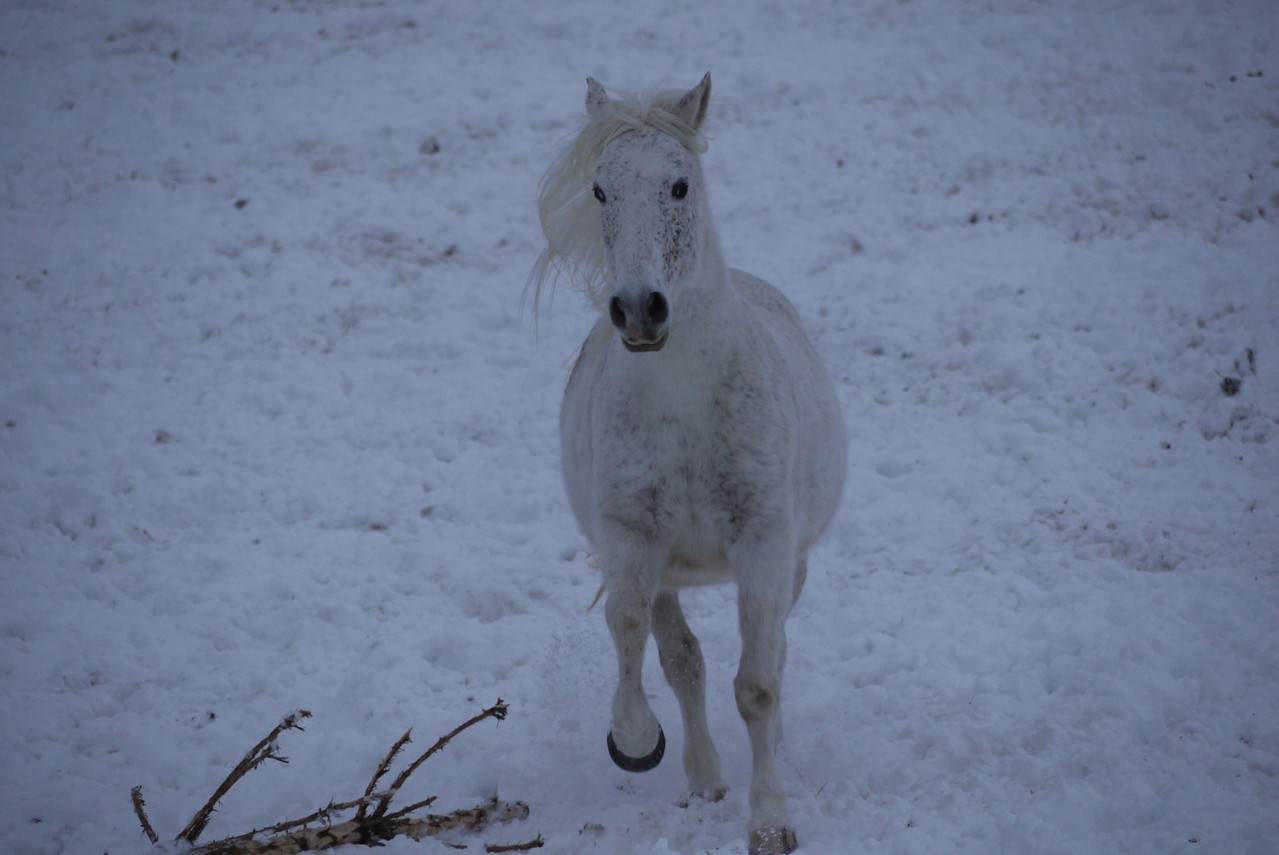 © Helfensteinhof Weiler o.H.