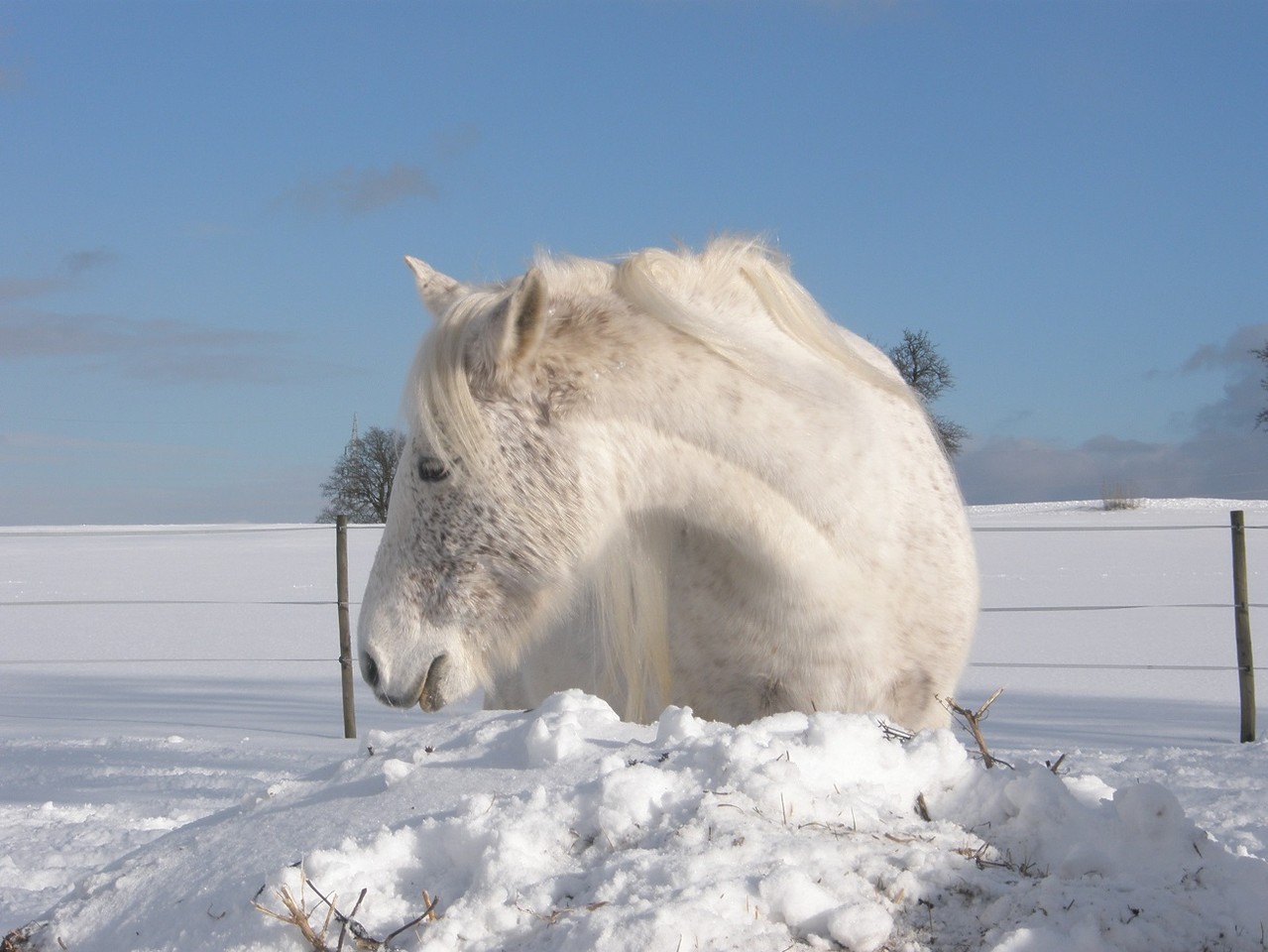 © Helfensteinhof Weiler o.H.