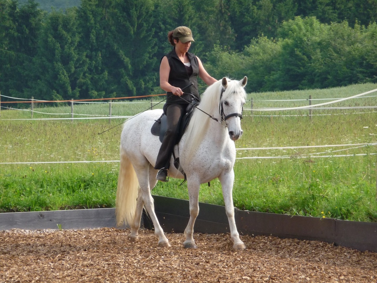 Venga und Silke © Helfensteinhof Weiler o.H.