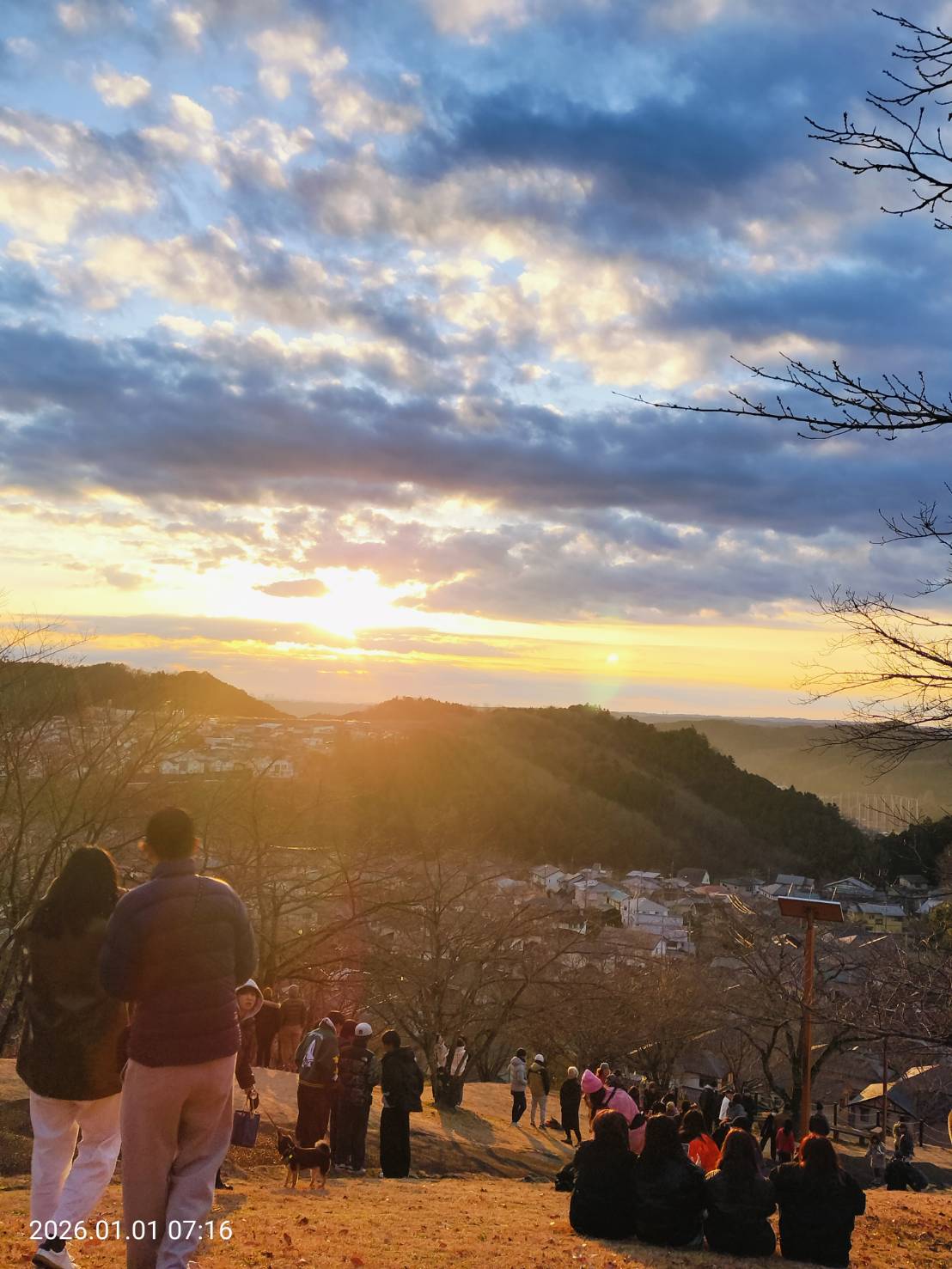 令和8年初日の出(丘の上中腹)