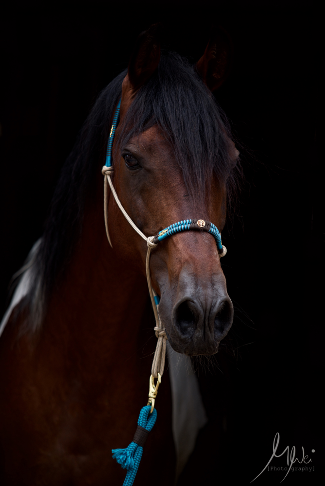 Portrait Sandokhan Ibn Shezir - MWei Photography