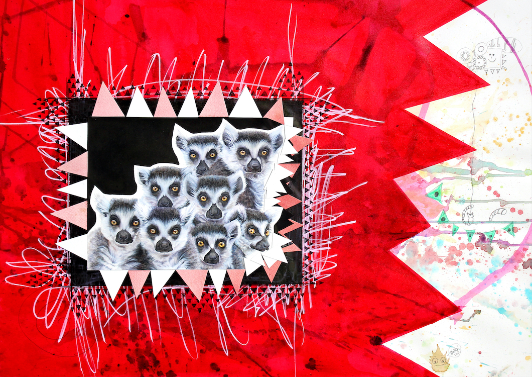 Lemur Catta - bedrohte Waldgeister