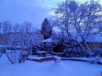リトアニア　カウナス　雪の庭　　　　　　　　　　　　オウレリアス・ジーカス氏撮影