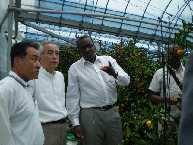 駐日アフリカ諸国大使の果樹栽培技術視察　African Ambassadors to Japan inspect fruit tree cultivation technology　