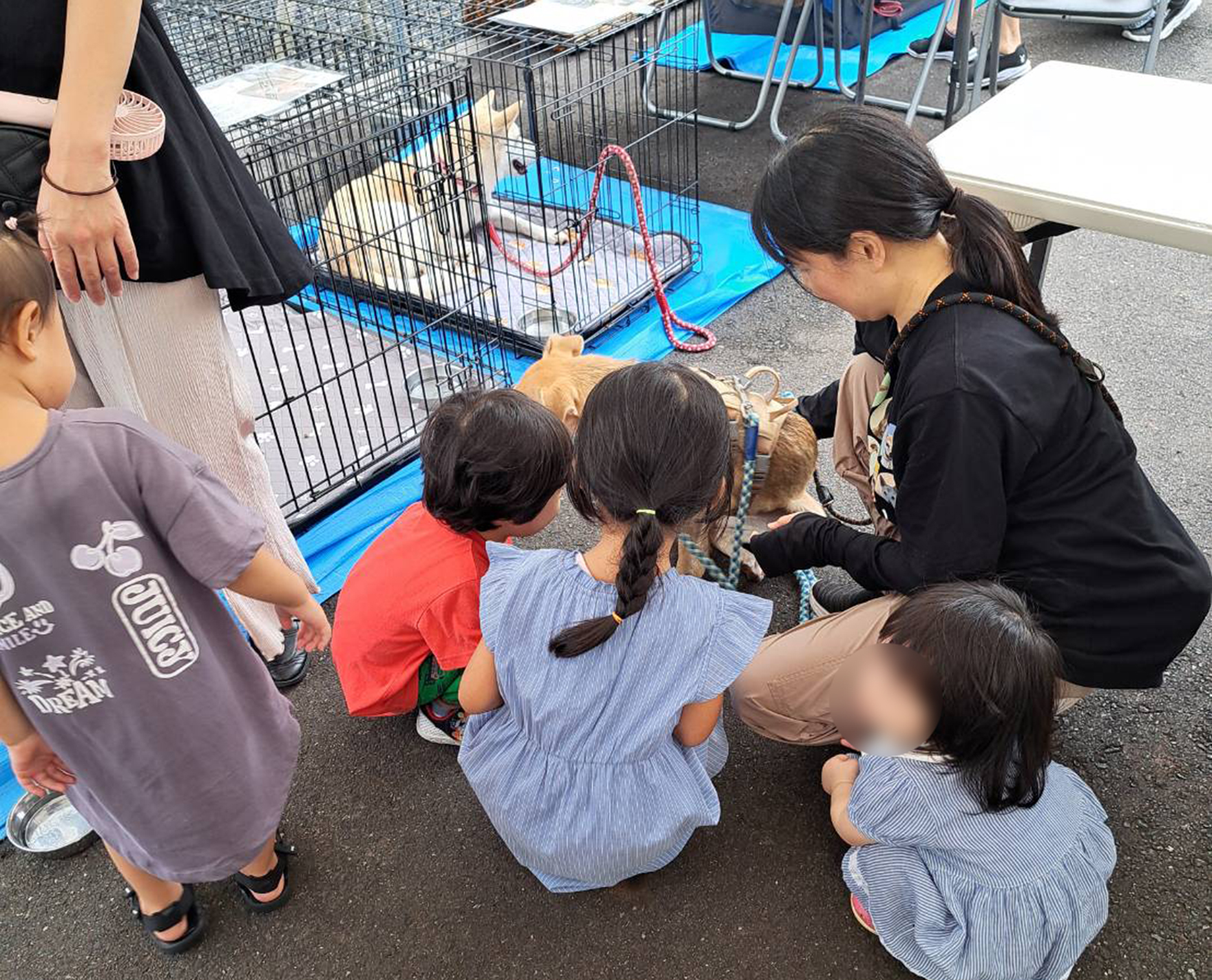おがまるin津山イーストランド住宅展示場ウチパレット