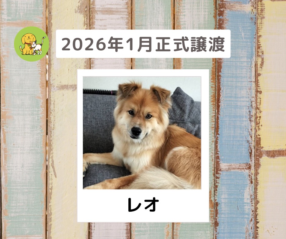 譲渡報告　2026年１月