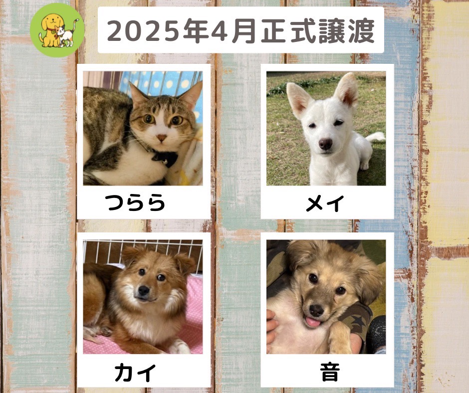 譲渡報告　2025年４月