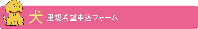 犬　里親希望申し込みフォーム